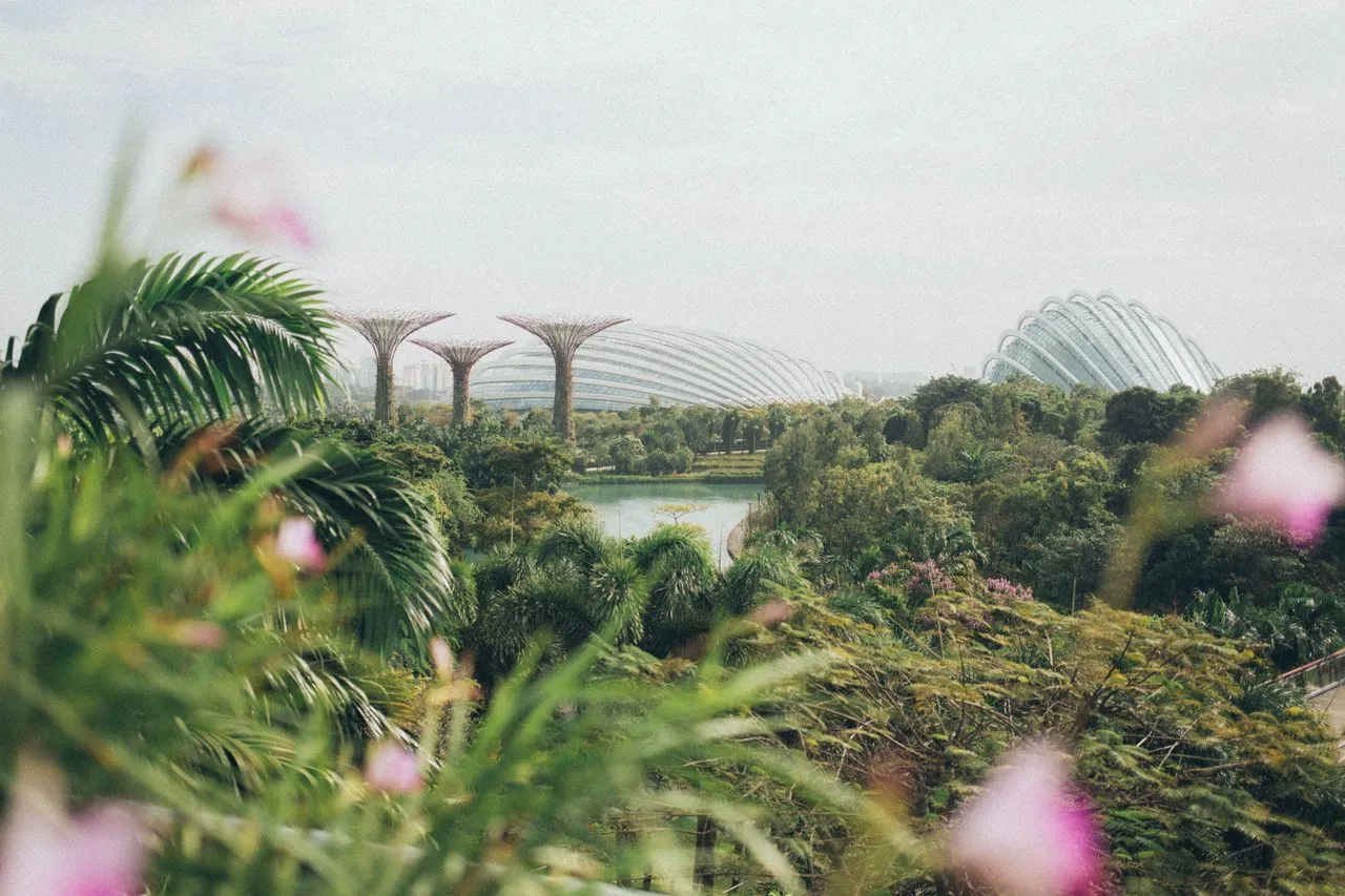 Gardens by the Bay Singapore