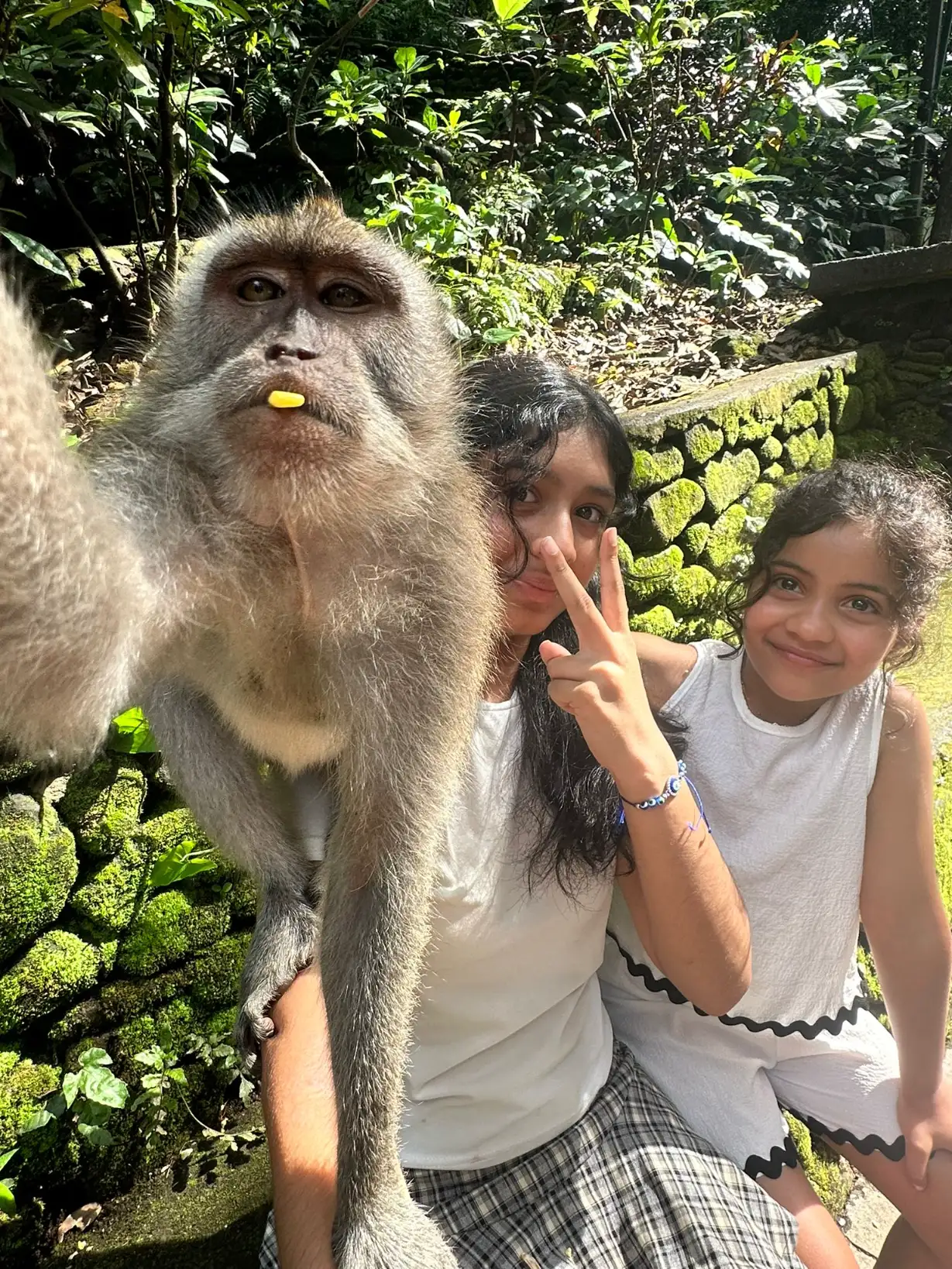 Ubud Highlights Tour