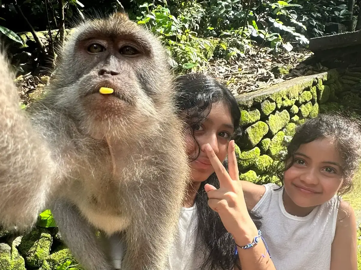 Mokey Forest in Bali