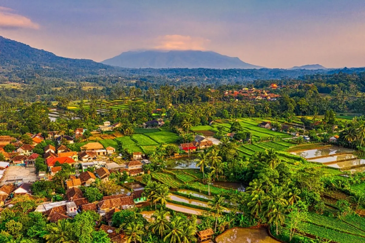 Tegallalang Rice Terrace