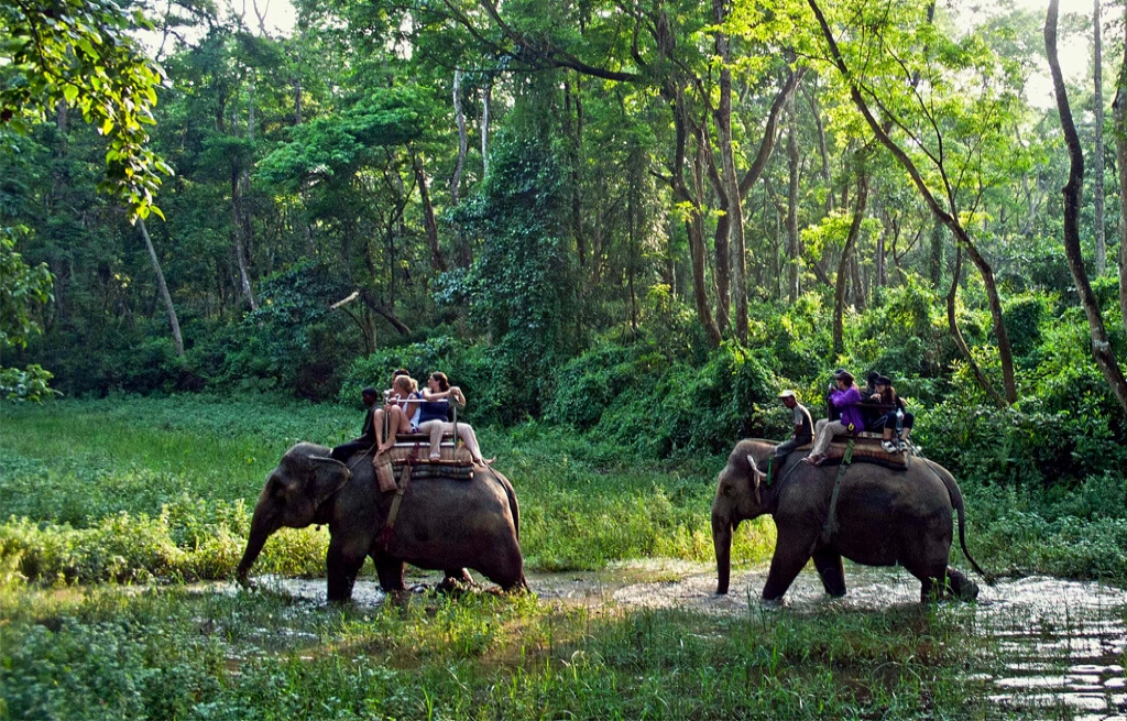 All Nepal Tour