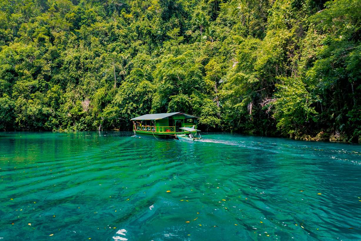 How to Spend the Perfect Day in Bohol: Chocolate Hills, Tarsiers, and Loboc River Cruises