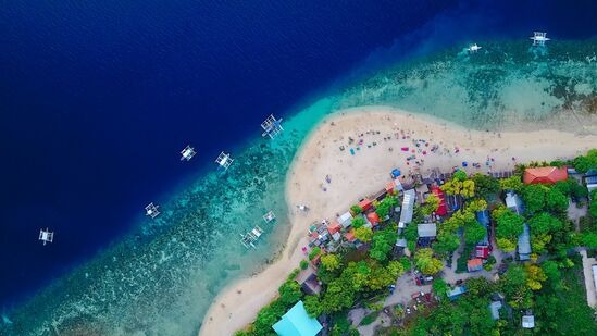 Cebu Bohol Trip