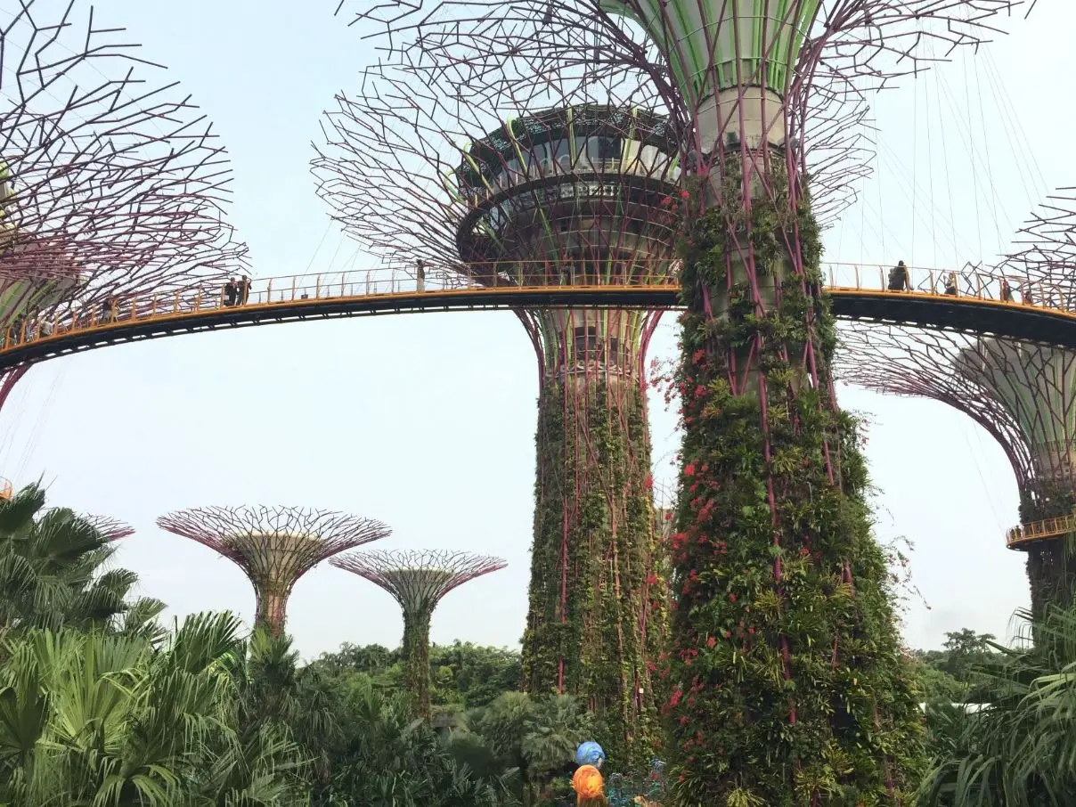 OCBC Skyway Singapore