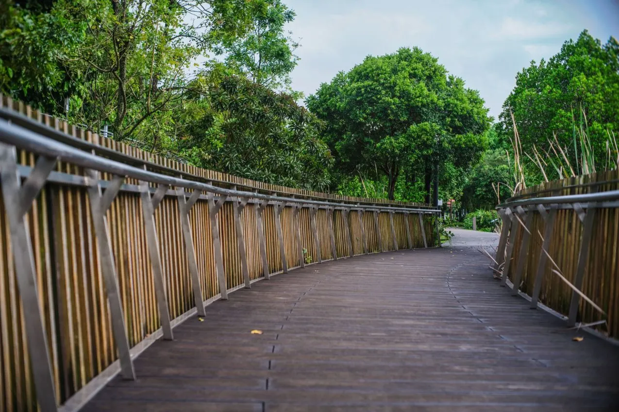 Southern Ridges Singapore
