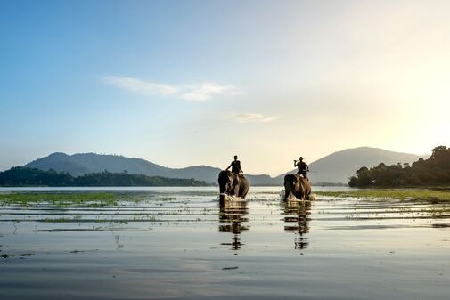White Water Rafting, Elephant Trekking & Jungle Adventure