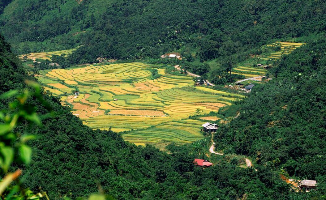 Muong Hoa Valley Trek