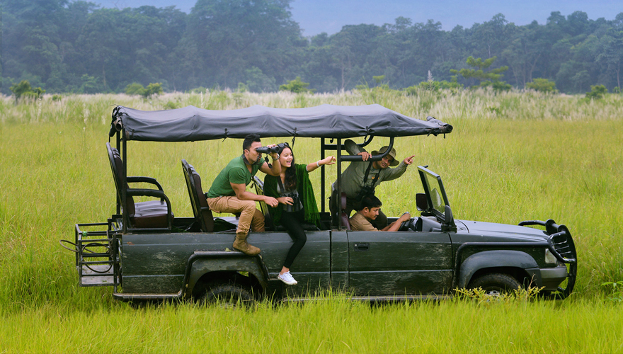 Wildlife Safaris