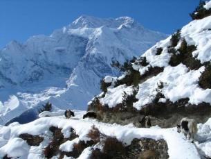 14 Days Annapurna Base Camp Trek