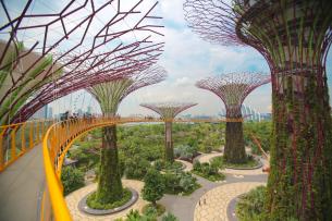 3 Days 2 Nights Private Singapore Tour Package