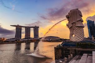 1 Day Private Singapore Transit Tour