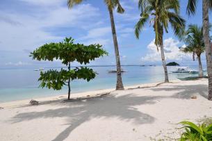 Cebu Philippines   4 Nights 5 Days tour package