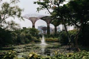 Singapore 4 Nights 5 Days Tour Package